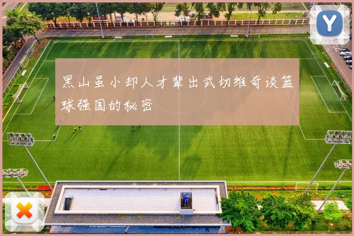 黑山虽小却人才辈出武切维奇谈篮球强国的秘密